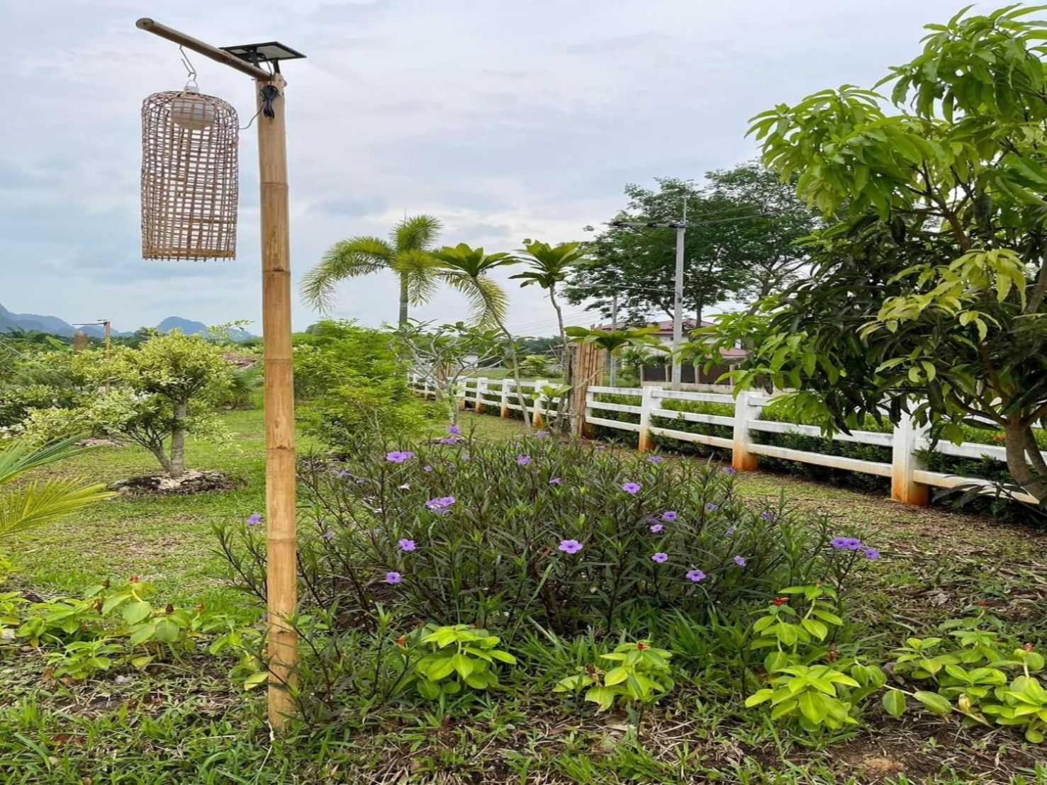 Capital O 75518 Baan Rose Resort Ao Luk Buitenkant foto